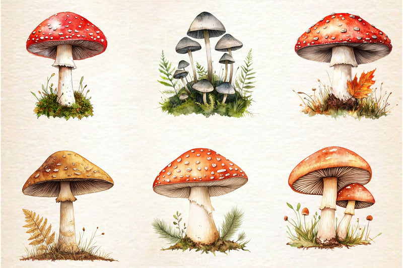 Botanical Autumn Mushrooms Clipart Bundle - CraftNest - Digital Crafting and Art