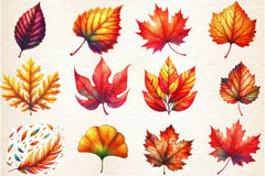 Fall Leaves Clipart Bundle - CraftNest - Digital Crafting and Art