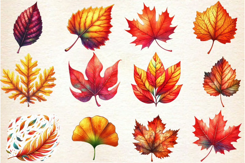 Fall Leaves Clipart Bundle - CraftNest - Digital Crafting and Art