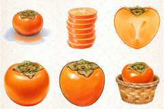 Persimmon Fruit Clipart Bundle 1 - CraftNest - Digital Crafting and Art