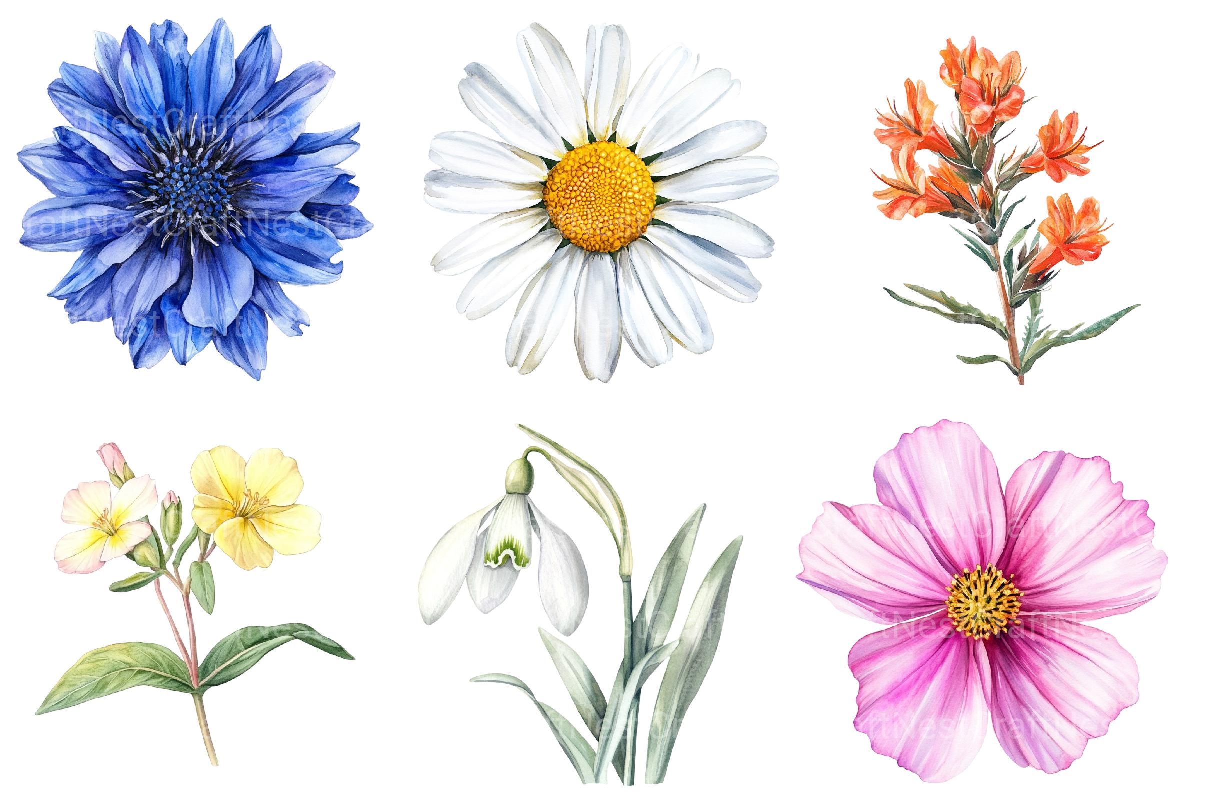 Well Defined Wildflower Clipart - CraftNest - Digital Crafting and Art