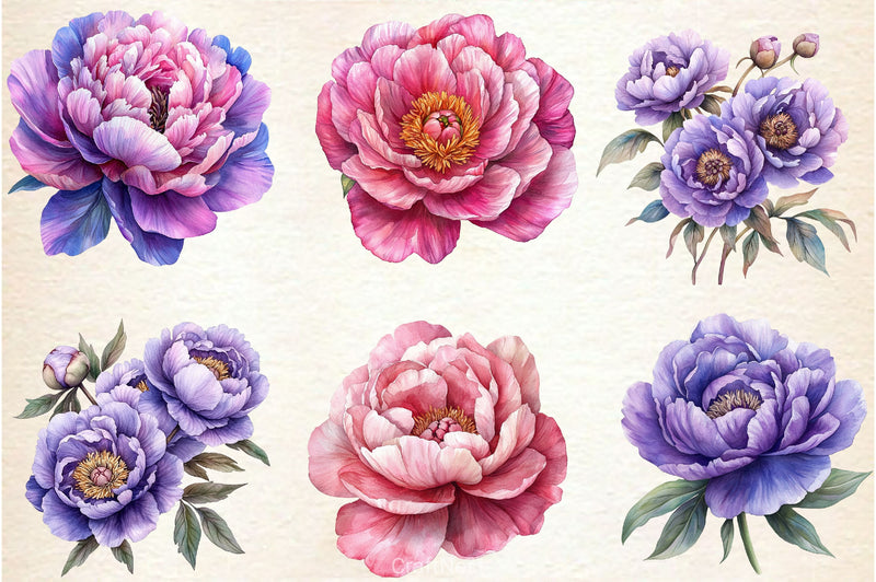 Pink & Purple Peony Flowers Clipart Bundle - CraftNest - Digital Crafting and Art