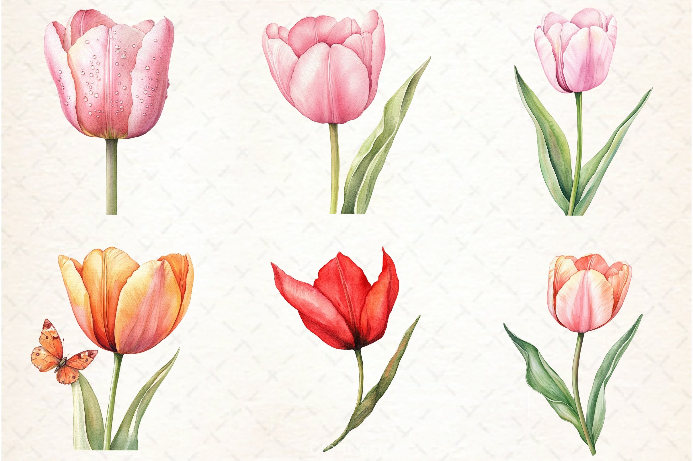 Tulip Clipart Bundle - CraftNest - Digital Crafting and Art