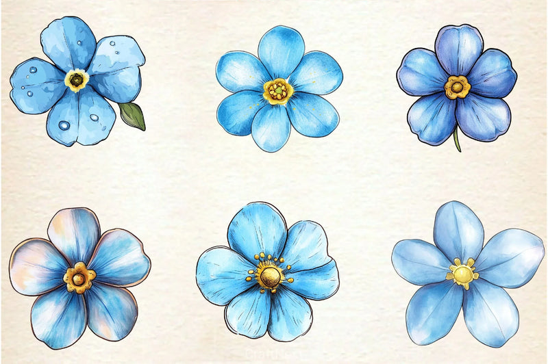 Forget Me Not Flower Bloom Clipart Bundle 2 - CraftNest - Digital Crafting and Art