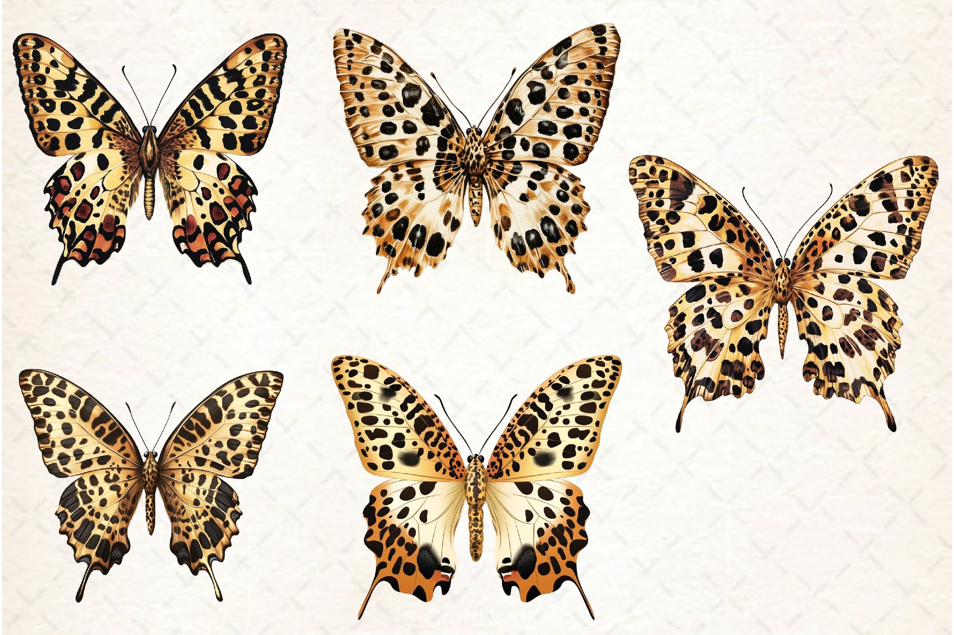 Leopard Butterfly Clipart Bundle - CraftNest - Digital Crafting and Art