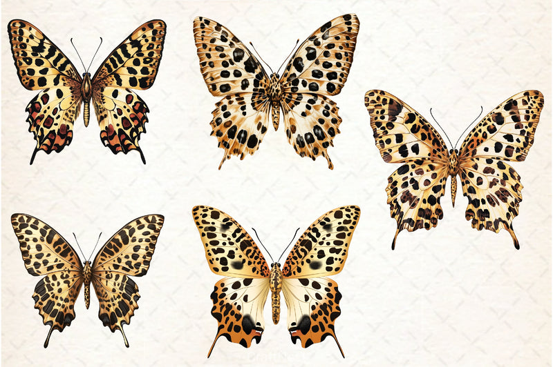 Leopard Butterfly Clipart Bundle - CraftNest - Digital Crafting and Art