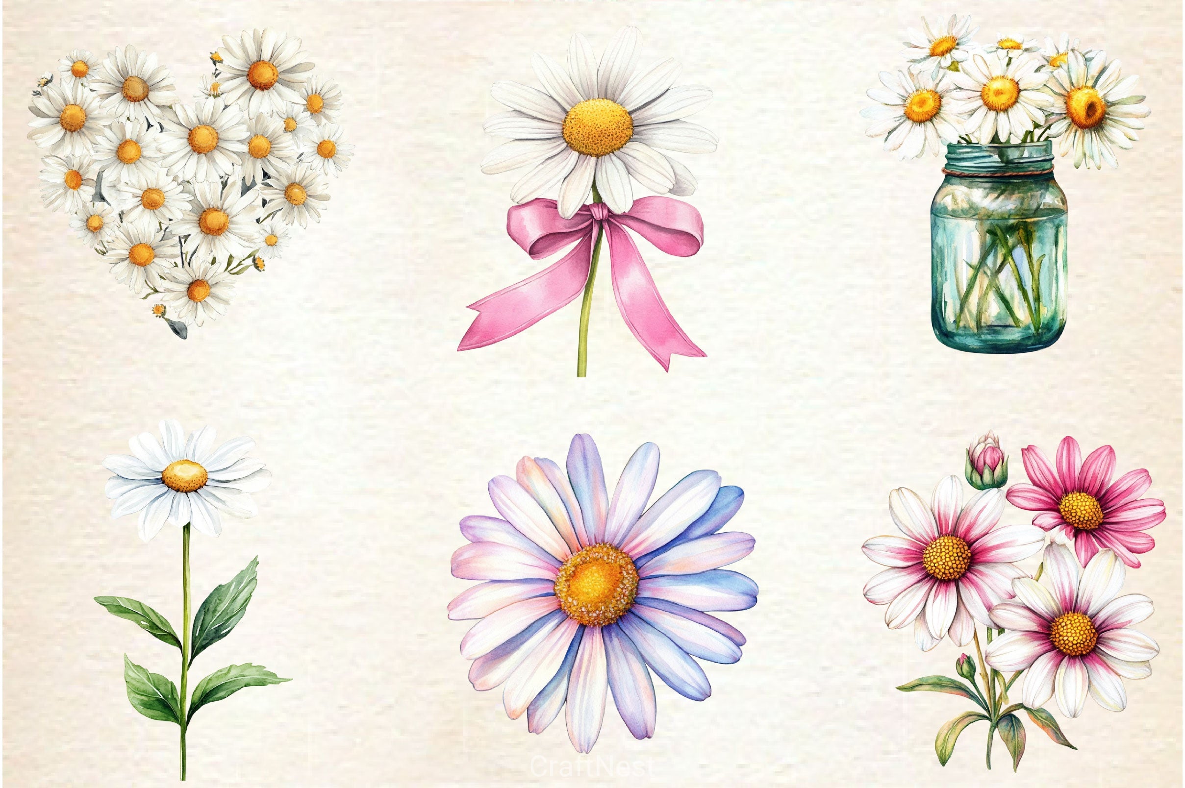 Daisies Flowers Clipart Bundle - CraftNest - Digital Crafting and Art
