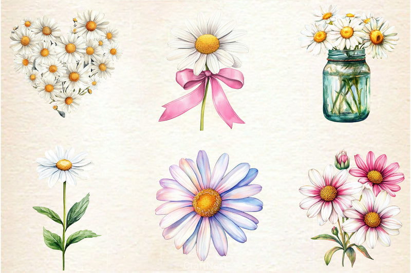 Daisies Flowers Clipart Bundle - CraftNest - Digital Crafting and Art