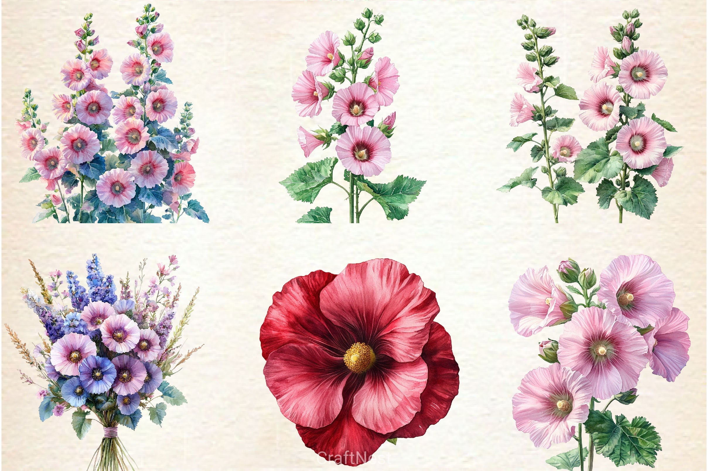 Hollyhock Clipart Bundle - CraftNest - Digital Crafting and Art