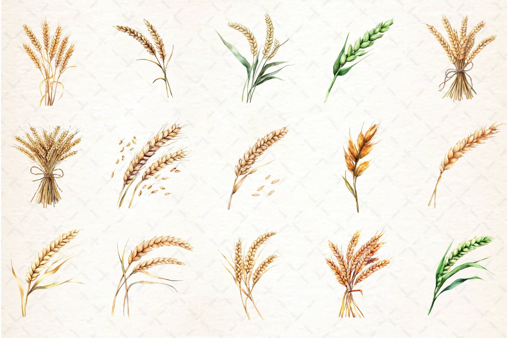 Wheat Clipart Bundle - CraftNest - Digital Crafting and Art