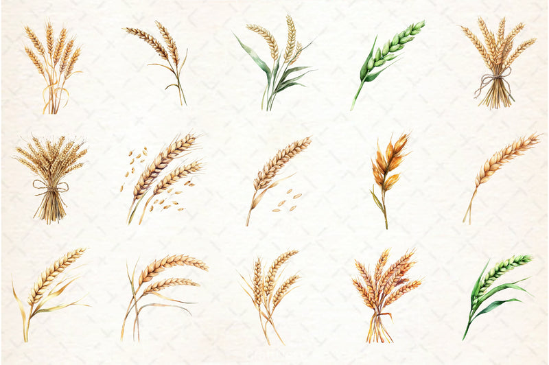 Wheat Clipart Bundle - CraftNest - Digital Crafting and Art