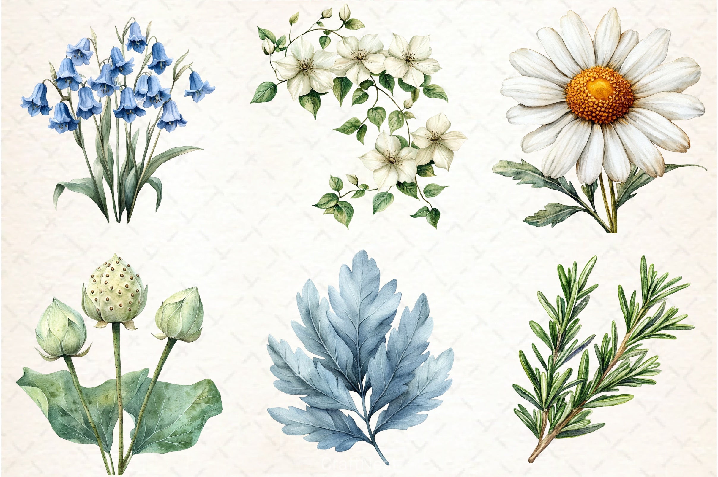 Vintage Botanical Clipart Bundle 3 - CraftNest - Digital Crafting and Art