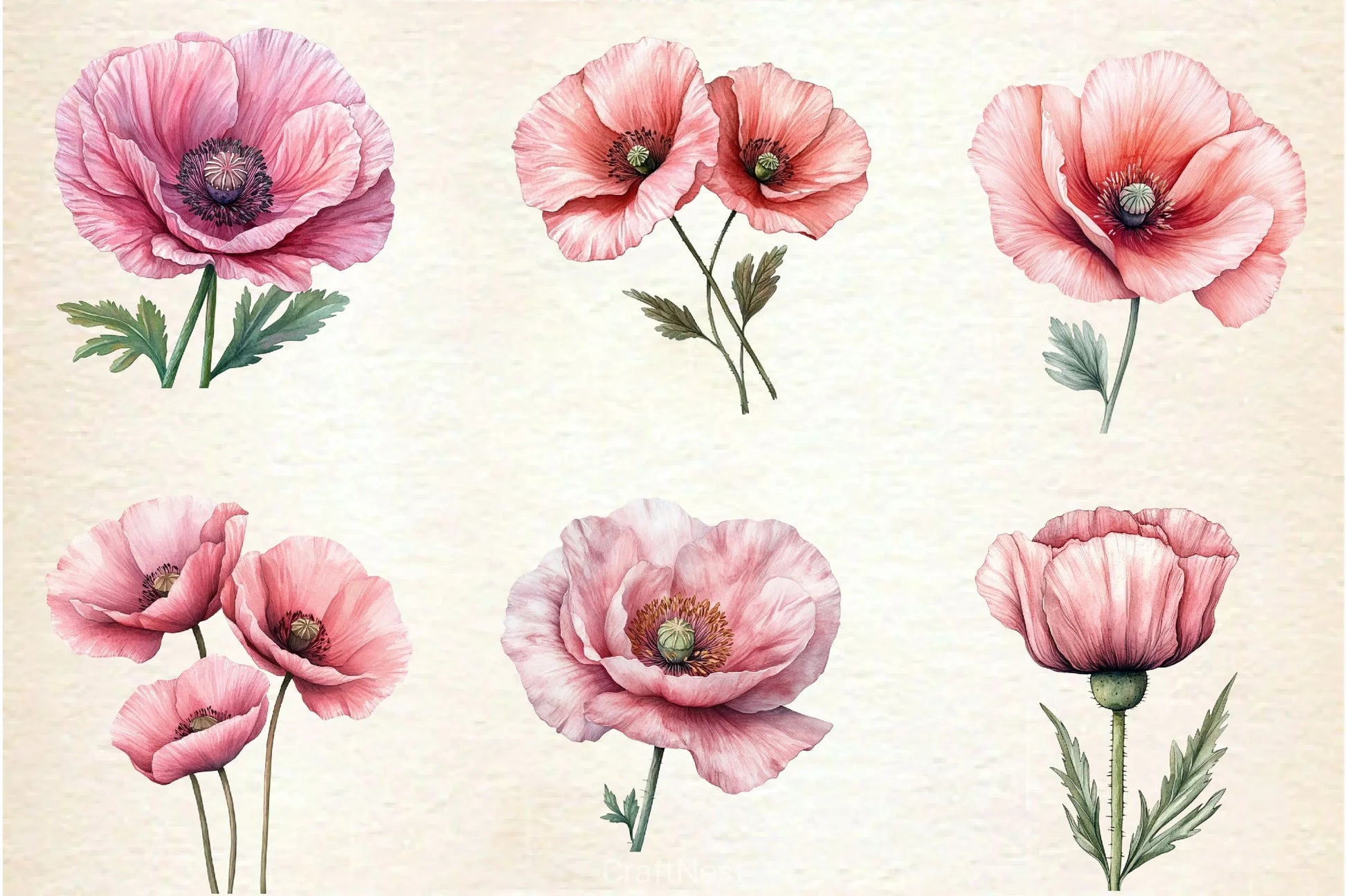 Spring Poppies Clipart Bundle - CraftNest - Digital Crafting and Art