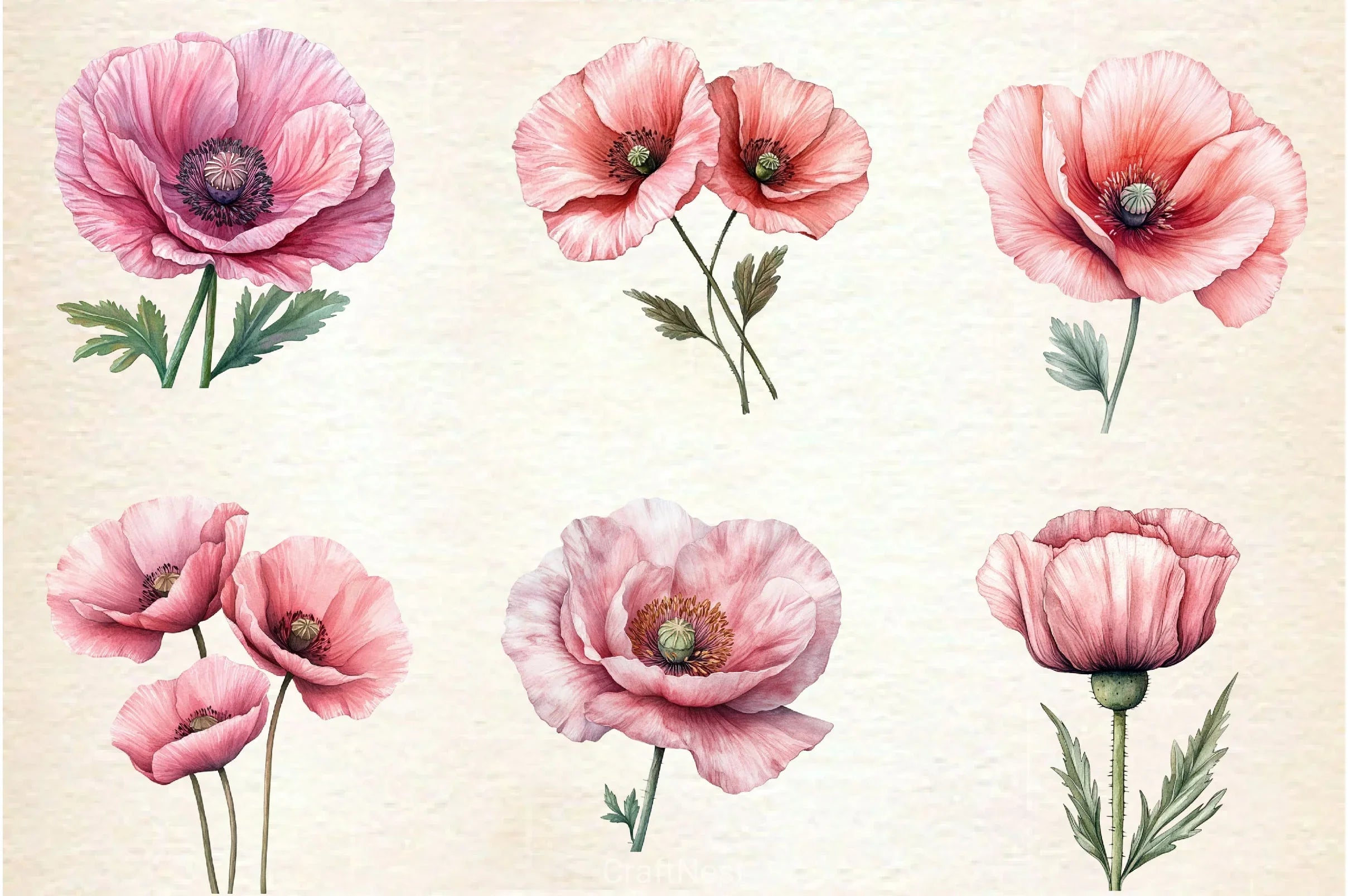 Spring Poppies Clipart Bundle - CraftNest - Digital Crafting and Art