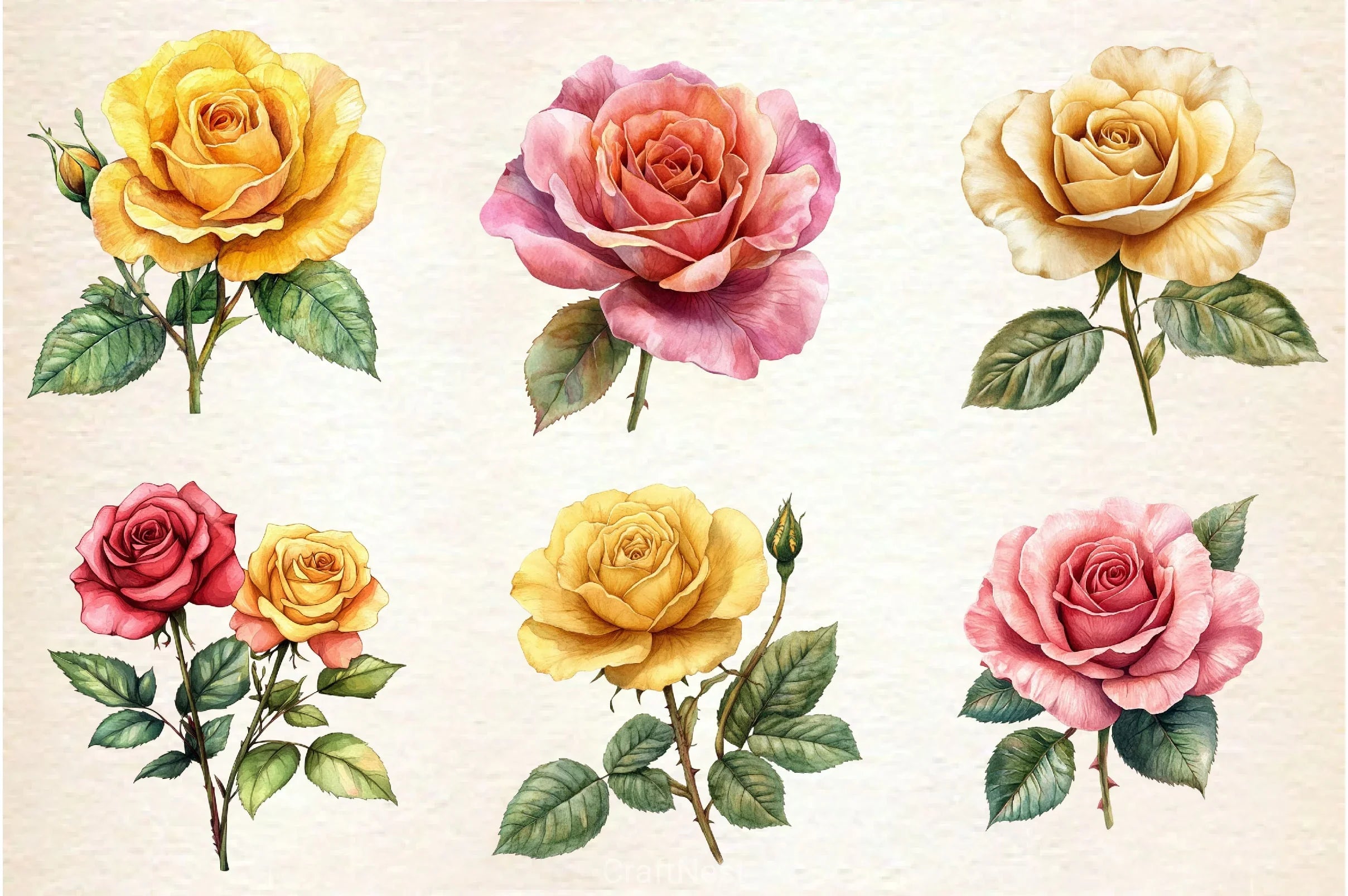 Summer Lithograph Roses Clipart Bundle - CraftNest - Digital Crafting and Art