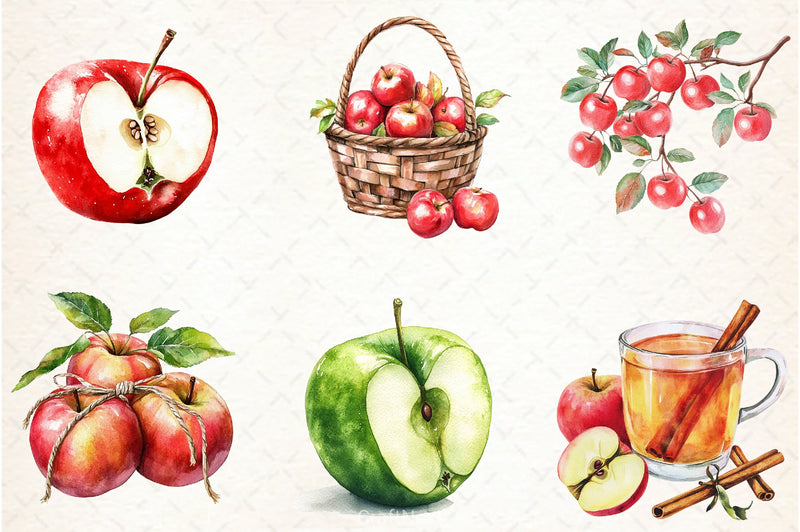 Apples Clipart Bundle 1 - CraftNest - Digital Crafting and Art