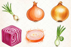 Onion Clipart Bundle - CraftNest - Digital Crafting and Art