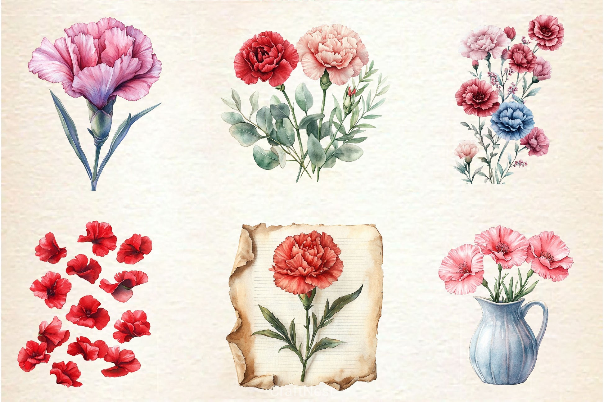 Carnation Flower Clipart Bundle 4 - CraftNest - Digital Crafting and Art