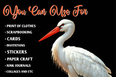 White Stork Heron Clipart Bundle - CraftNest - Digital Crafting and Art