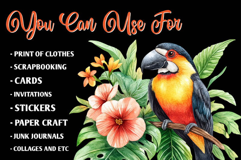 Tropical Bird Jungle Bird Clipart Bundle 1 - CraftNest - Digital Crafting and Art