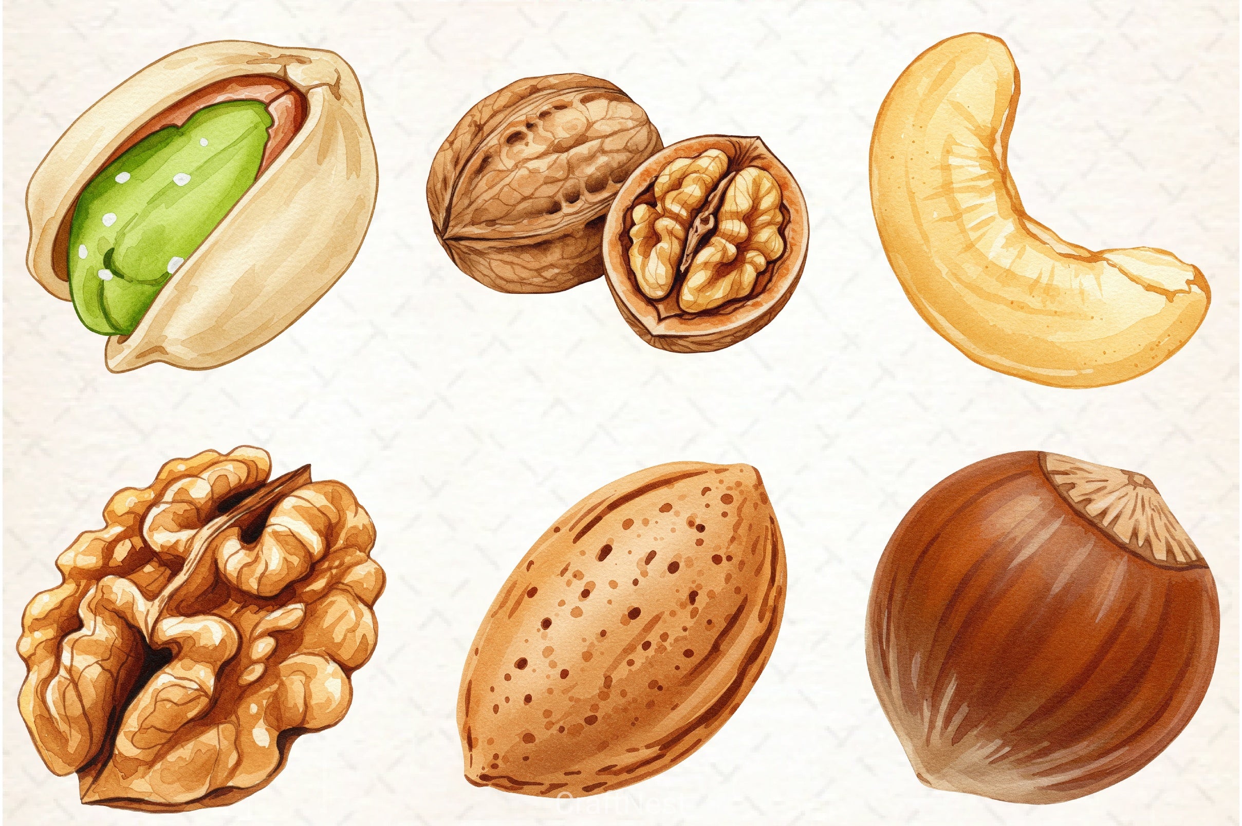 Nuts Clipart Bundle 5 - CraftNest - Digital Crafting and Art