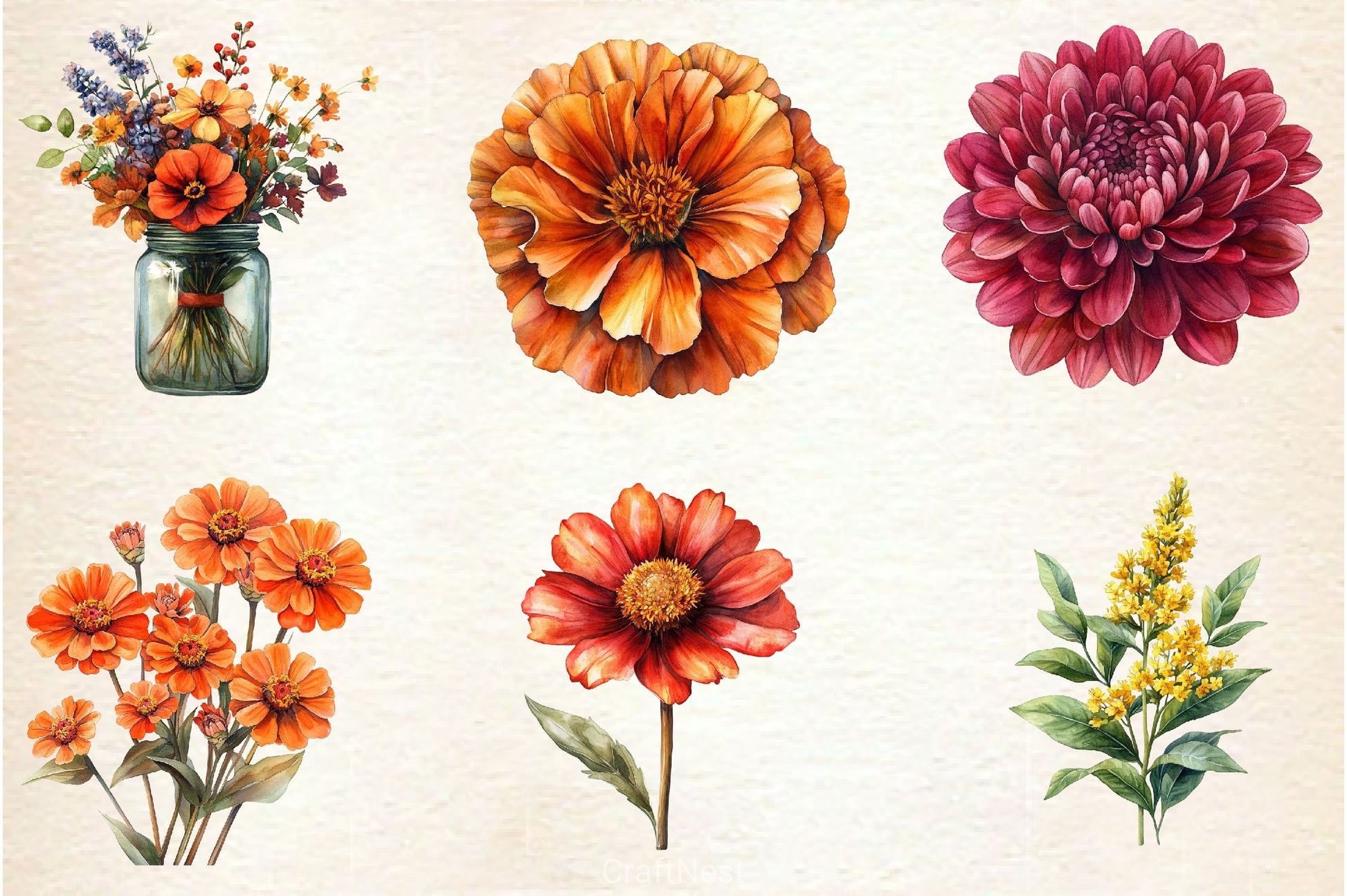 Autumn Wildflowers Clipart Bundle 9 - CraftNest - Digital Crafting and Art