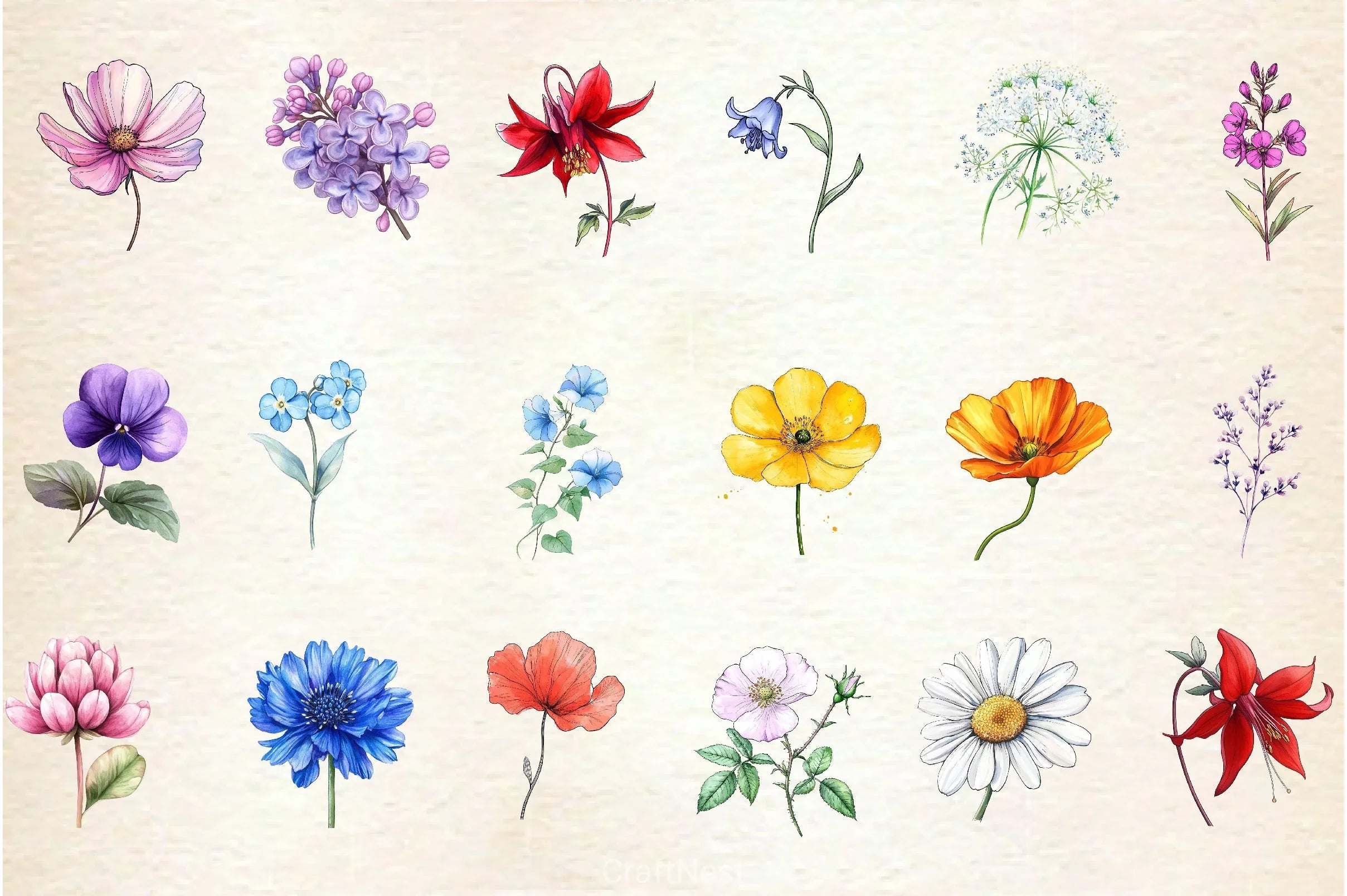 Single Wildflower Clipart Bundle - CraftNest - Digital Crafting and Art