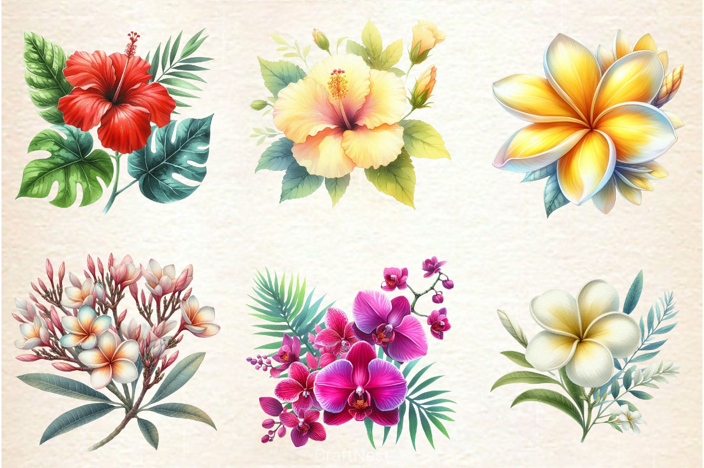 Hawaiian Flowers Clipart Bundle - CraftNest - Digital Crafting and Art
