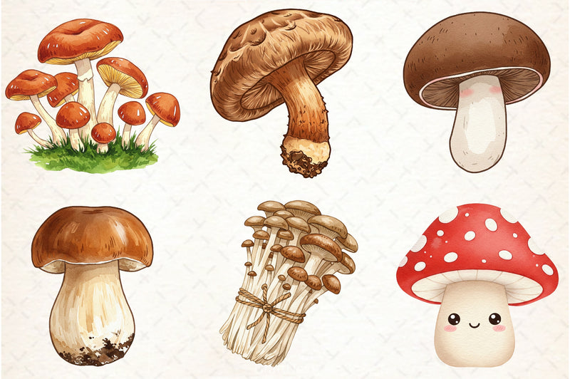 Edible Mushrooms Clipart Bundle 2 - CraftNest - Digital Crafting and Art