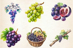 Grape Clipart Bundle 2 - CraftNest - Digital Crafting and Art