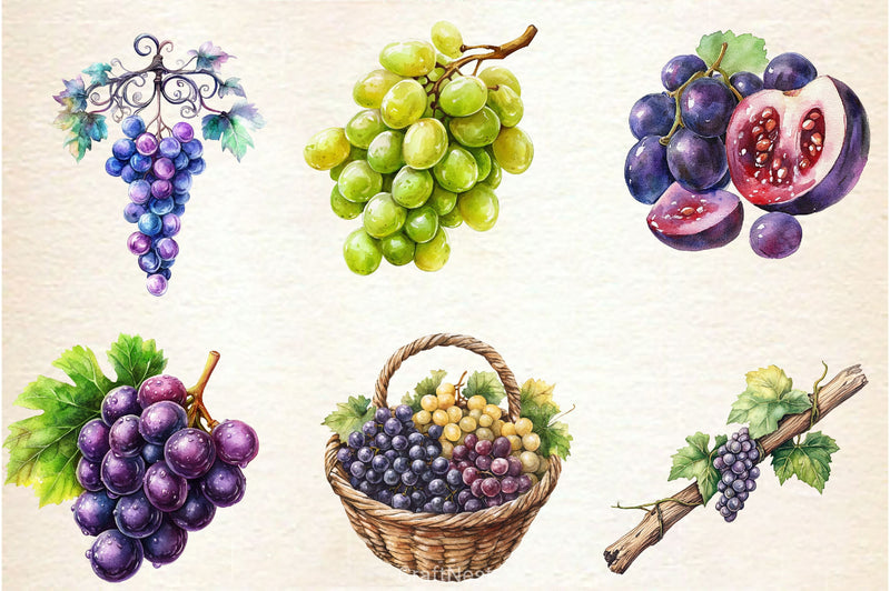 Grape Clipart Bundle 2 - CraftNest - Digital Crafting and Art