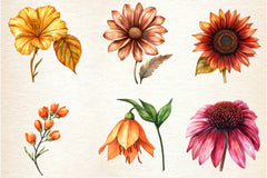 Autumn Wildflowers Clipart Bundle 2 - CraftNest - Digital Crafting and Art