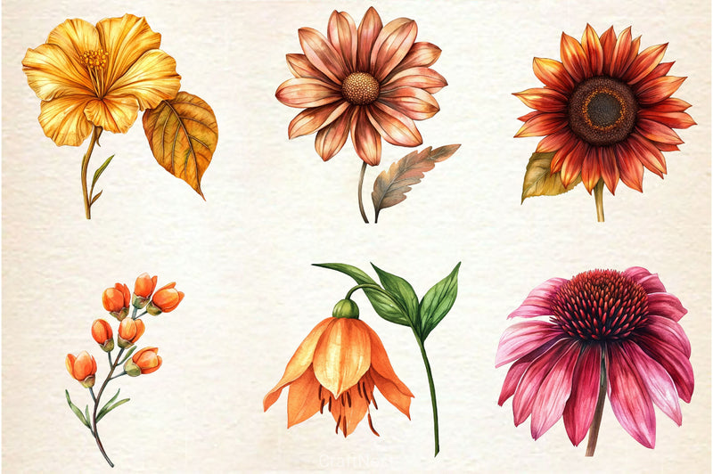 Autumn Wildflowers Clipart Bundle 2 - CraftNest - Digital Crafting and Art