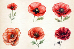 Corn Poppy Flower Bloom Clipart Bundle 2 - CraftNest - Digital Crafting and Art