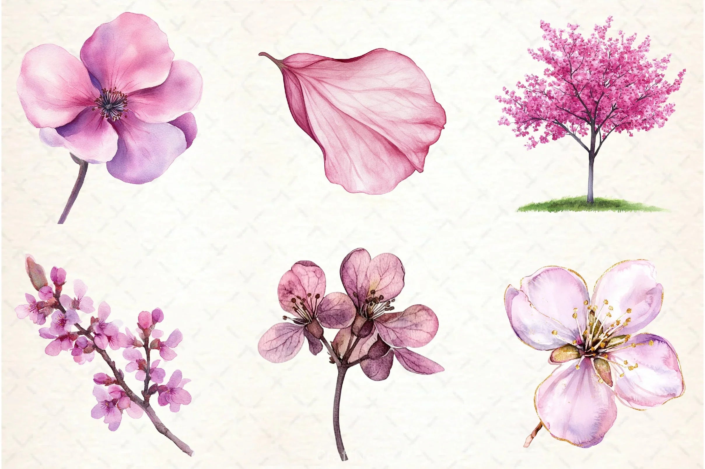 Spring Redbud Flower Clipart Bundle 3 - CraftNest - Digital Crafting and Art