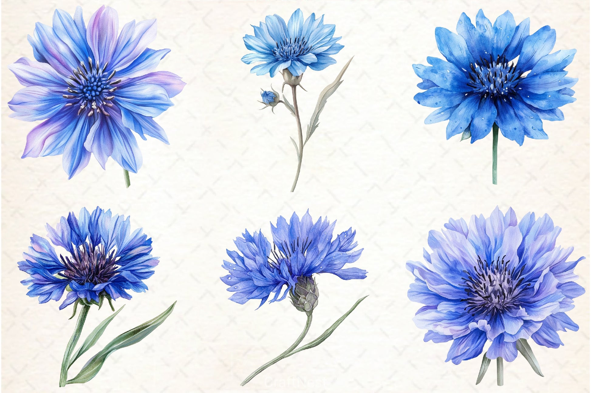 Blue Cornflower Clipart Bundle 2 - CraftNest - Digital Crafting and Art