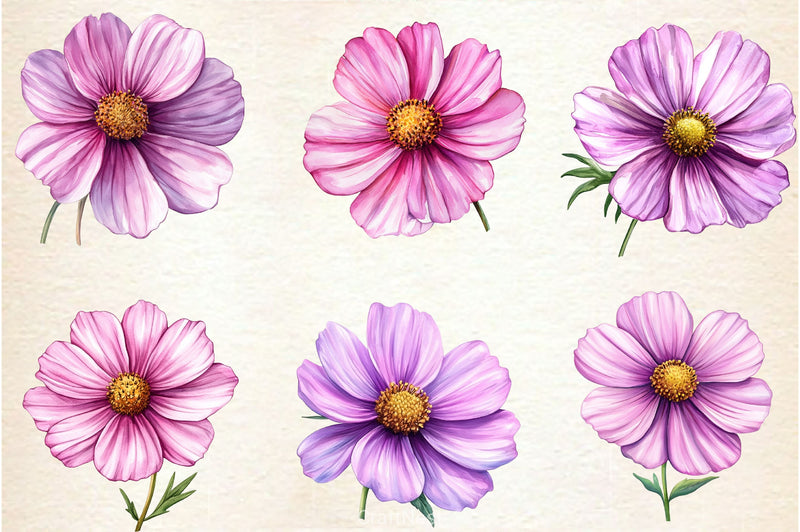 Pink Cosmos Flower Clipart Bundle - CraftNest - Digital Crafting and Art