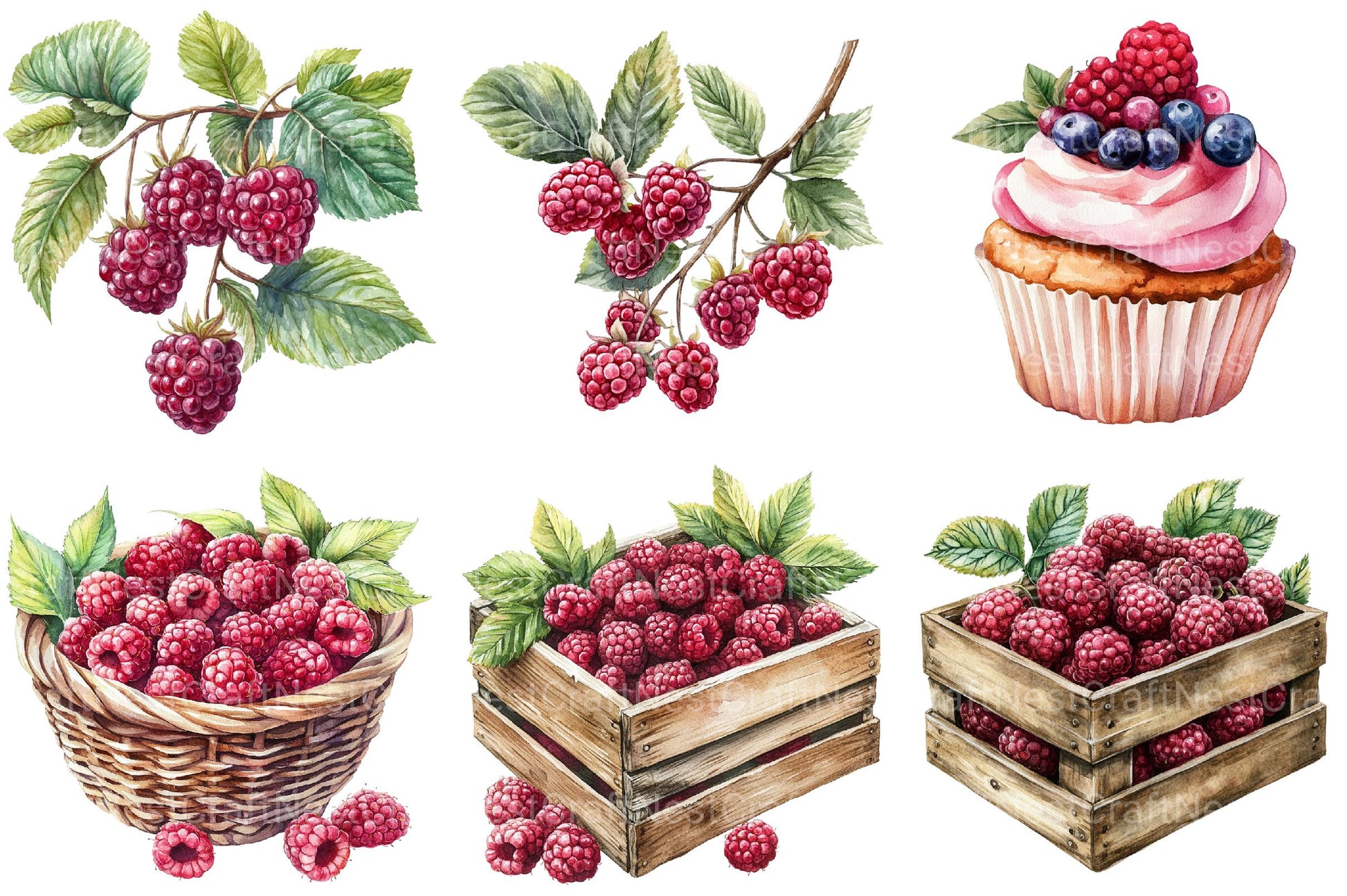 Raspberry Clipart - CraftNest - Digital Crafting and Art
