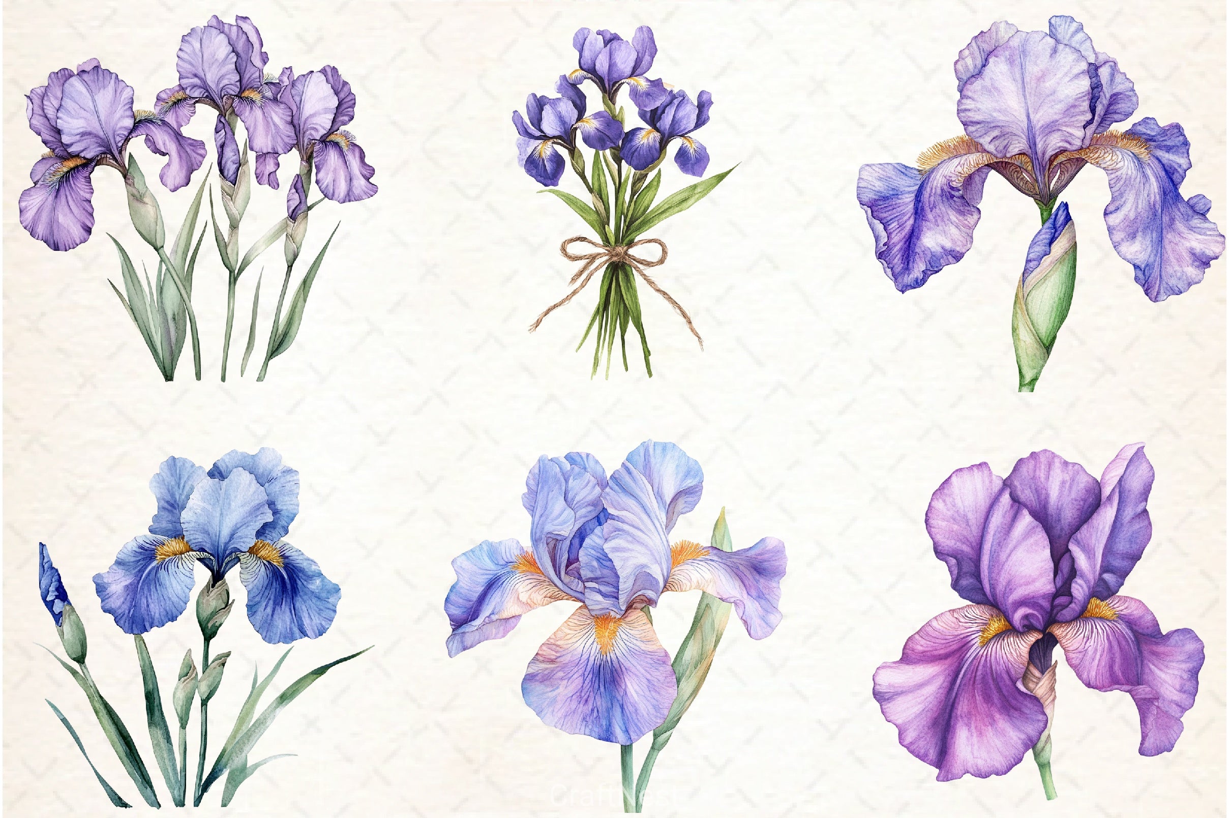 Iris Flower Clipart Bundle - CraftNest - Digital Crafting and Art
