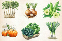 Vegetable Seeds Packet Clipart Bundle - CraftNest - Digital Crafting and Art