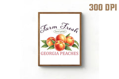 Farm Fresh Georgia Peaches Clipart Bundle - CraftNest - Digital Crafting and Art