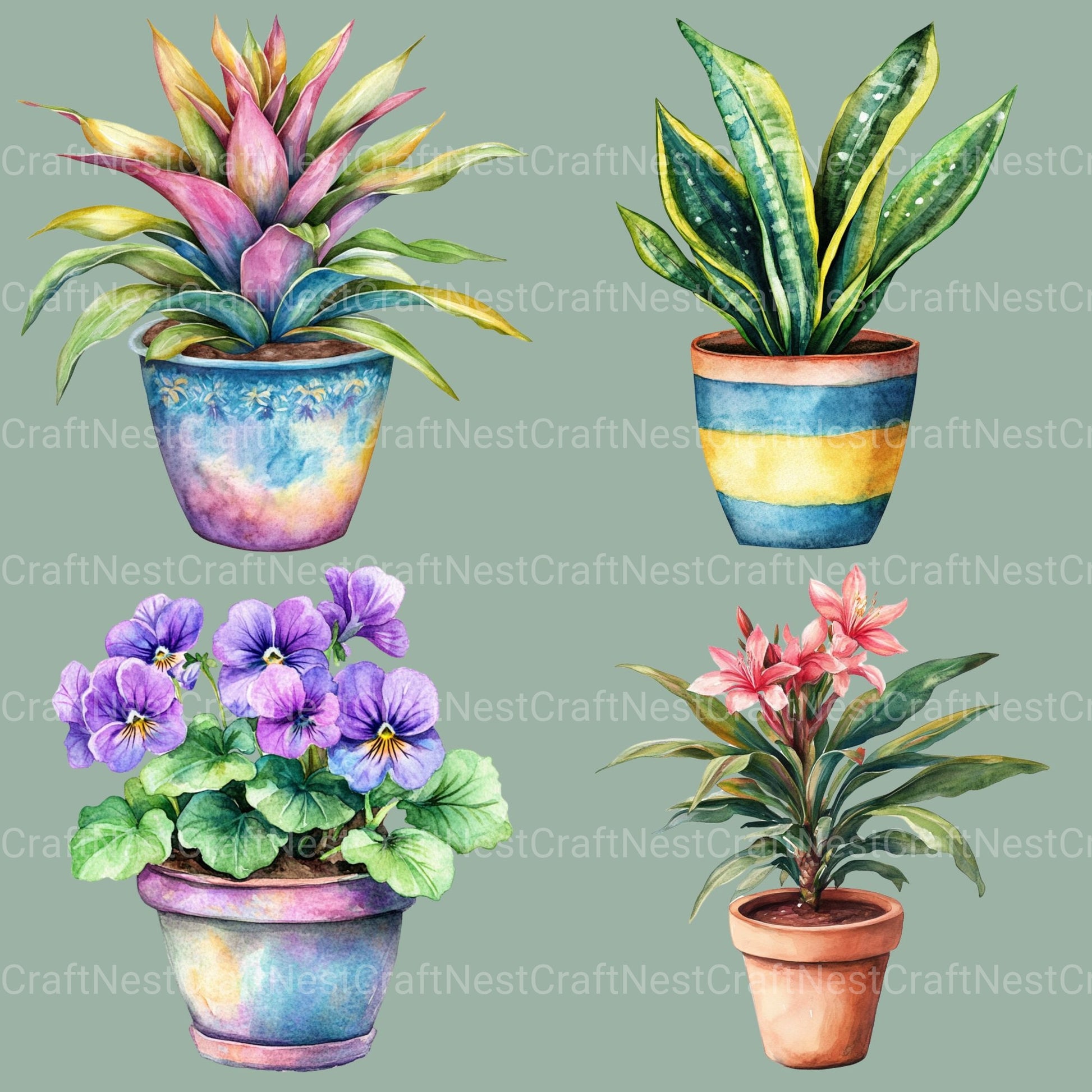 Houseplants Clipart Bundle - CraftNest - Digital Crafting and Art