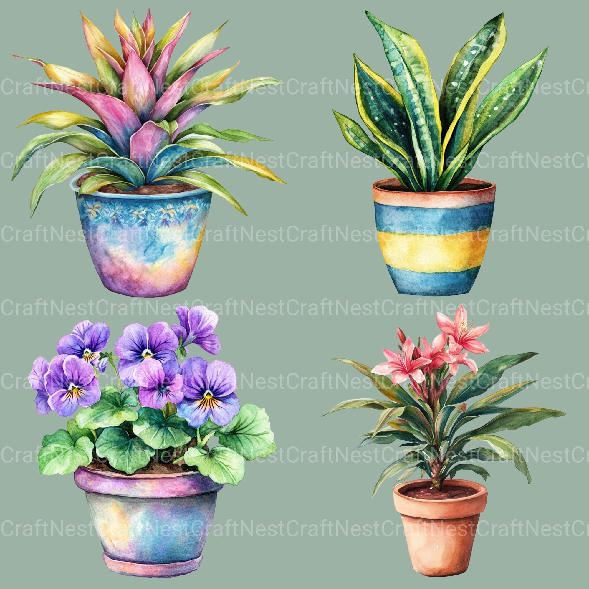 Houseplants Clipart Bundle - CraftNest - Digital Crafting and Art