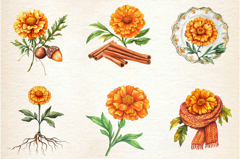 Fall Marigold Clipart Bundle 2 - CraftNest - Digital Crafting and Art