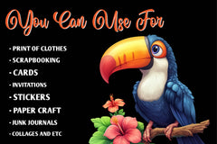 Tropical Bird Jungle Bird Clipart Bundle - CraftNest - Digital Crafting and Art