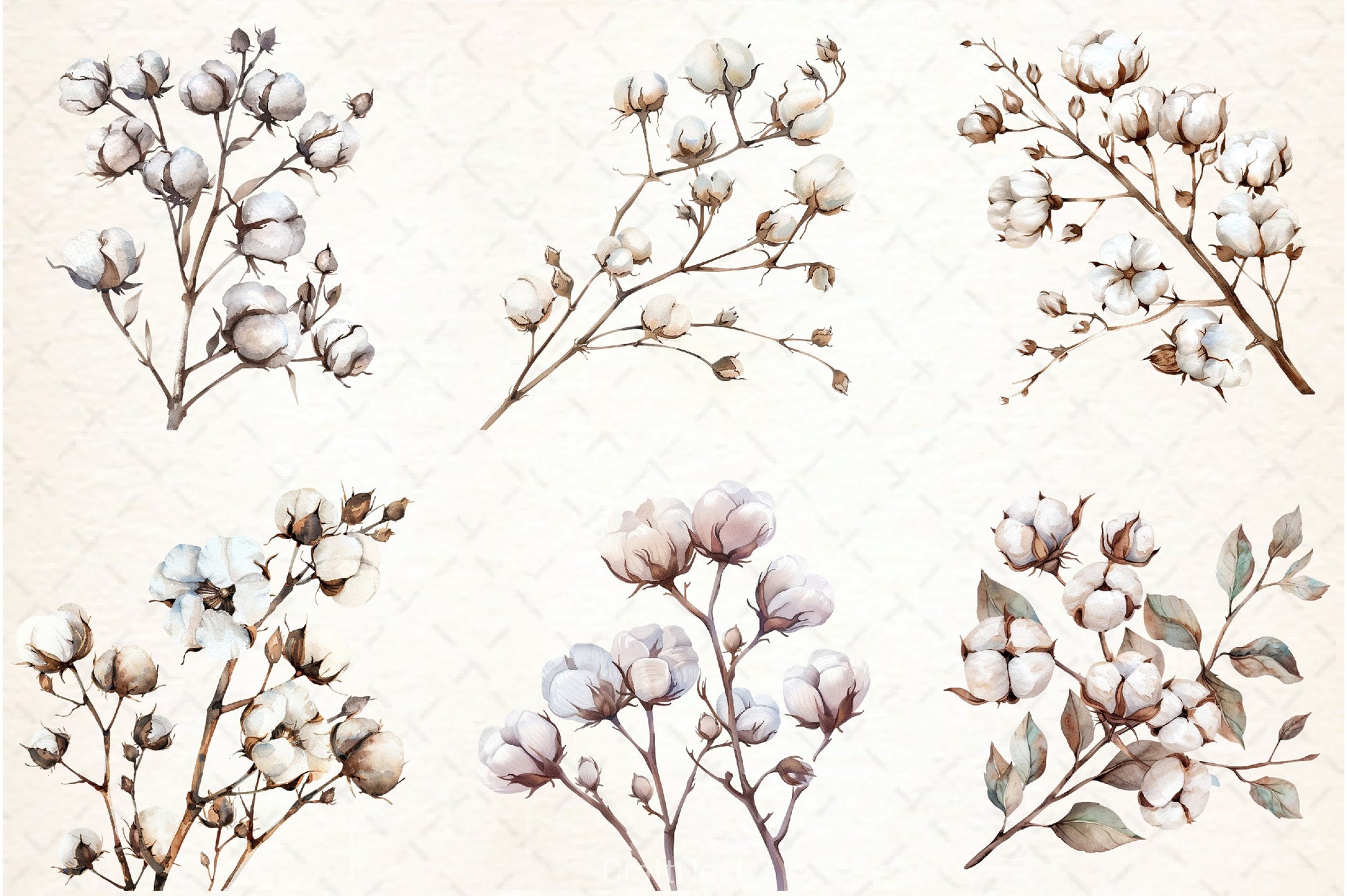 Cotton Branches Clipart Bundle - CraftNest - Digital Crafting and Art