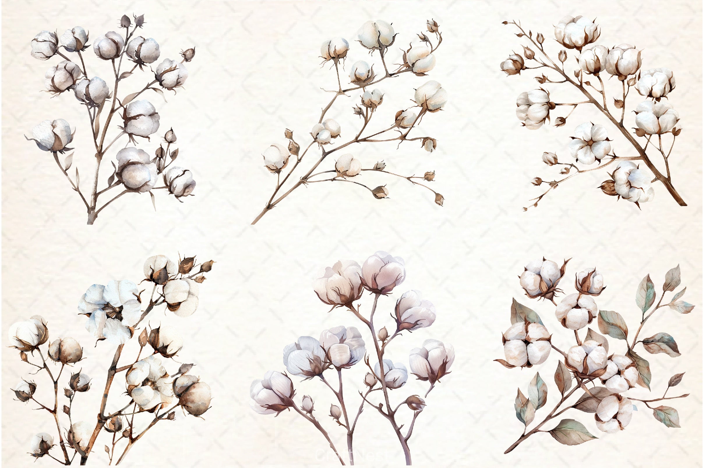 Cotton Branches Clipart Bundle - CraftNest - Digital Crafting and Art