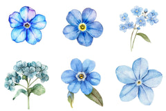 Forget Me Not Flower Bloom Clipart - CraftNest - Digital Crafting and Art
