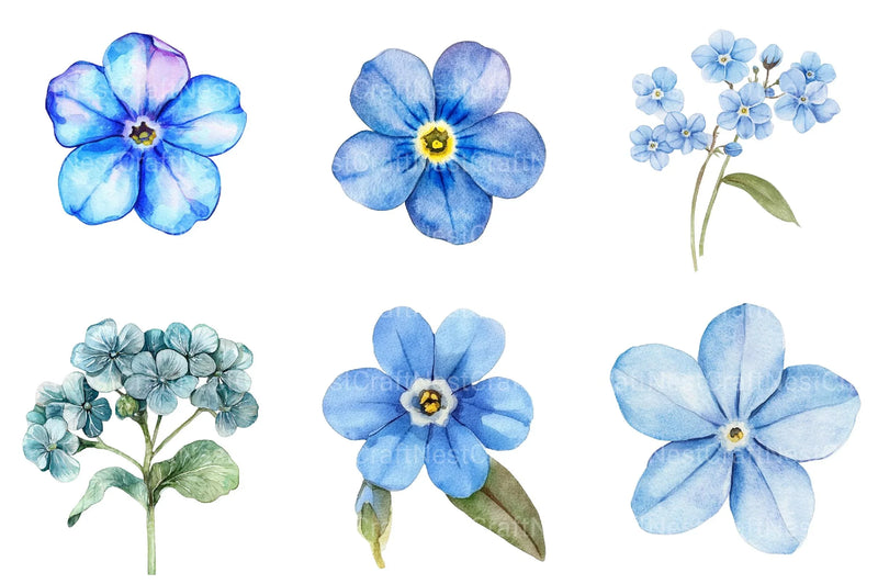 Forget Me Not Flower Bloom Clipart - CraftNest - Digital Crafting and Art