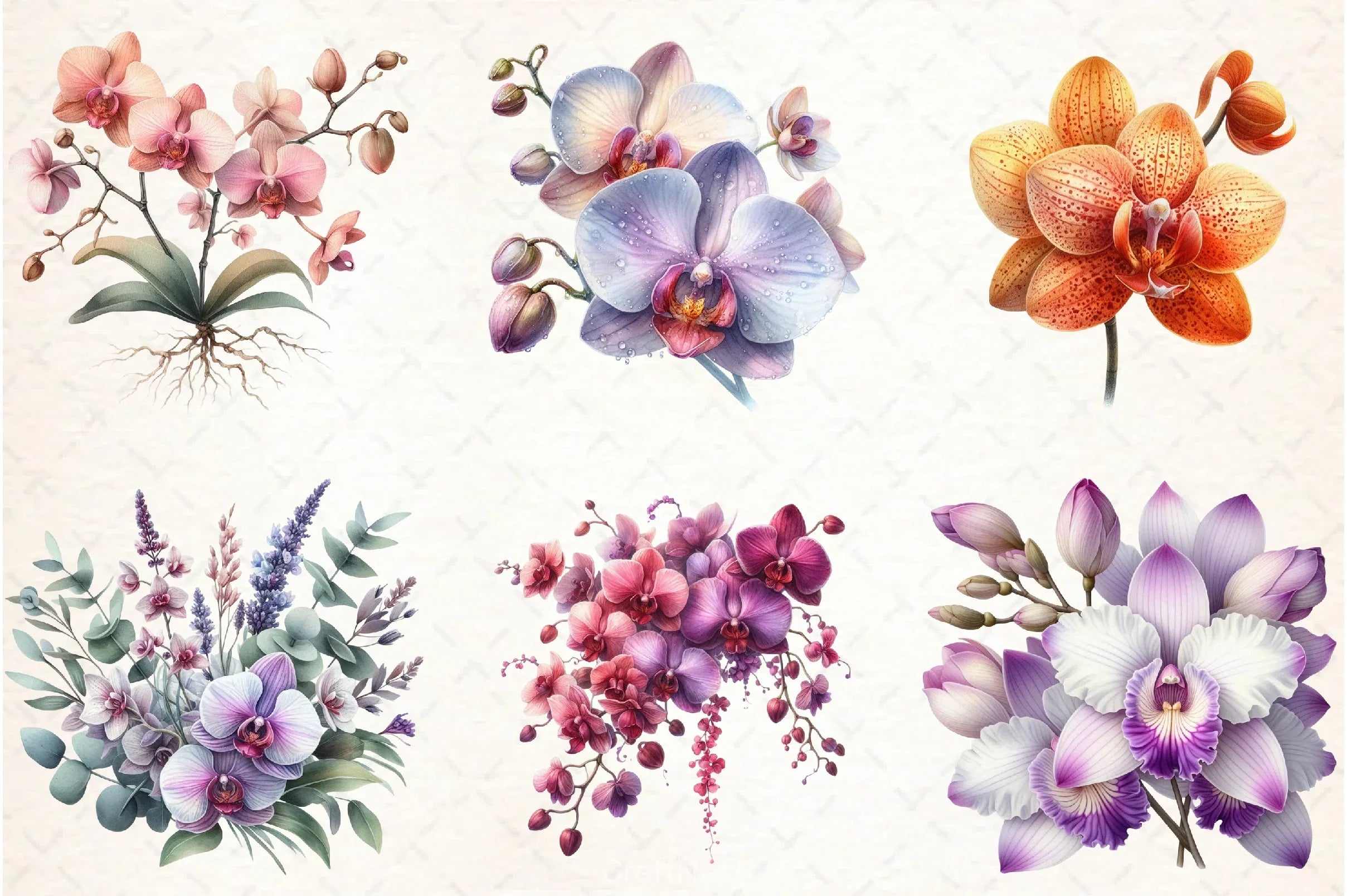 Orchid Clipart Bundle 3 - CraftNest - Digital Crafting and Art